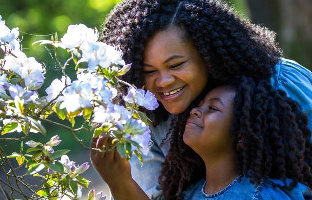 Best Kept Secrets at Westonbirt, The National Arboretum