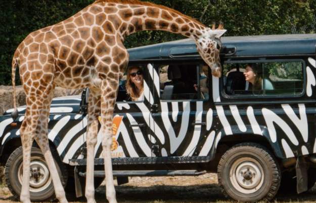 Anniversary Garden Party at Longleat
