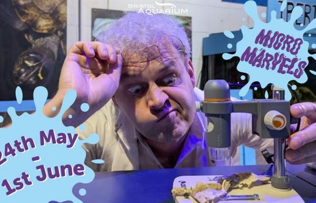 Micro Marvels at Bristol Aquarium