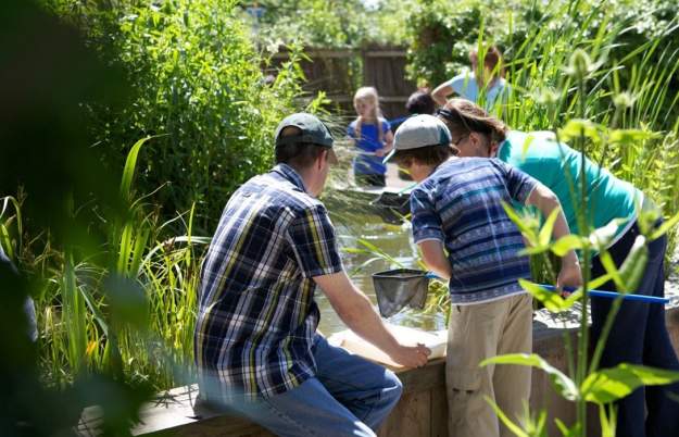 Autumn SEND Days at WWT Slimbridge Wetland Centre