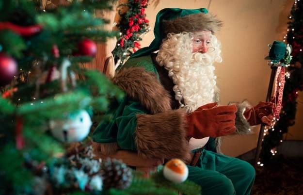 Festive Woodland at Bristol Zoo Project