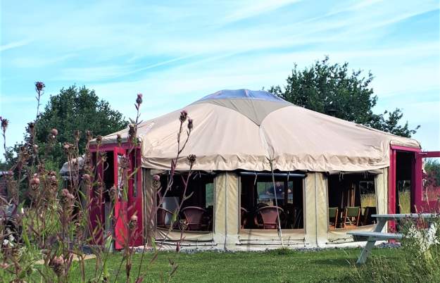 Bee Safari at Yeo Valley Organic Garden