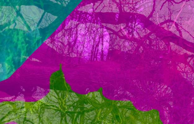 'Tractored by Beetles' Art Exhibition at Somerset Rural Life Museum