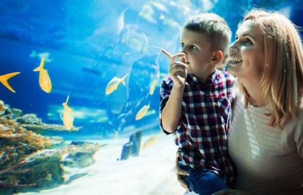 Mother's Day weekend at Bristol Aquarium