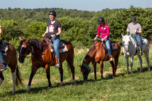 Red Fern Riding Center