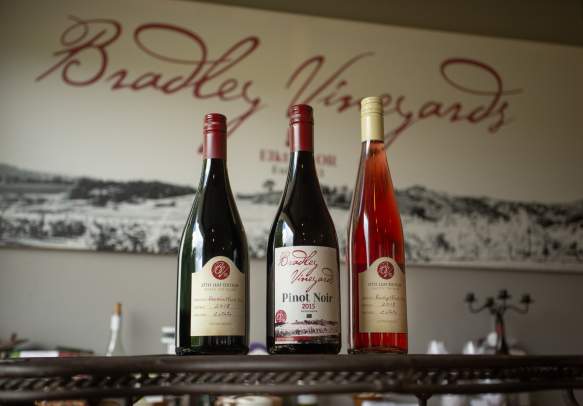 Bradley Vineyards