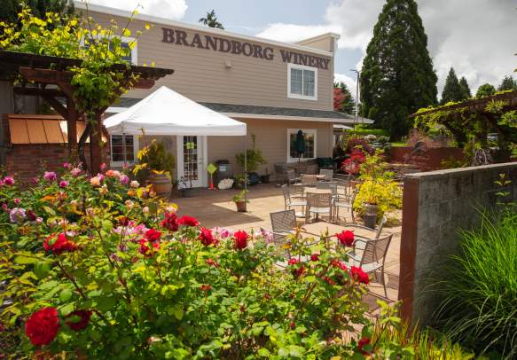 Brandborg Vineyard & Winery