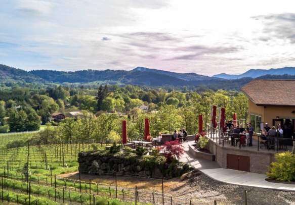 Cooper Ridge Vineyard