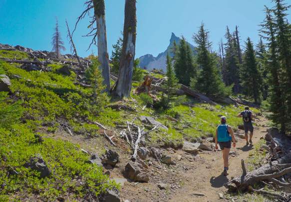 Mt Thielsen Trailhead