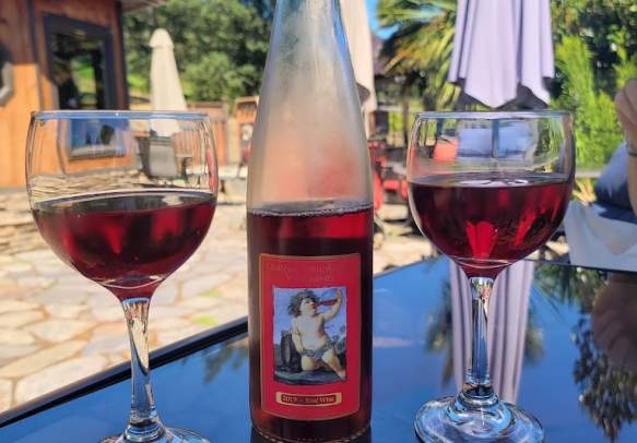 Chateau Nonchalant Vineyards
