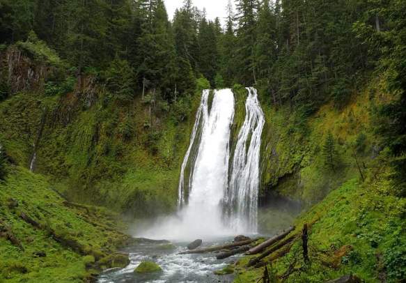 Lemolo Falls Trailhead