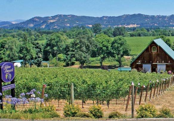 Melrose Vineyards