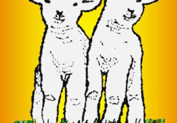 87th Annual Lamb Show, BBQ & Auction