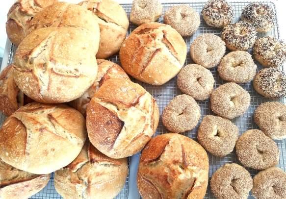 Oregon Sourdough Company