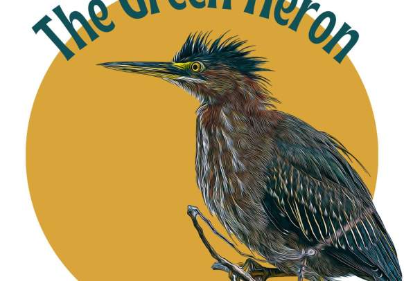 The Green Heron
