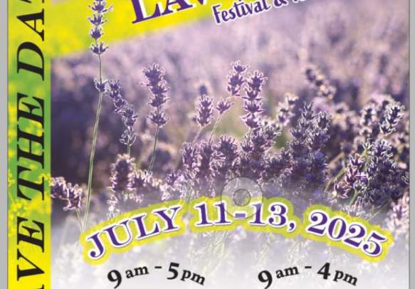 8th Annual Lavender Festival & Farm Tour