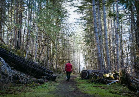North Umpqua Trail System (Partially Open)