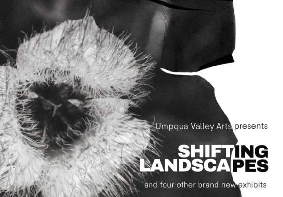 "Shifting Landscapes" + Add'l Exhibits @ Umpqua Valley Arts
