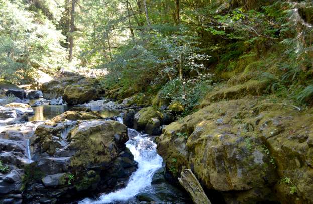 One Day, Three Falls – Exploring Brice Creek