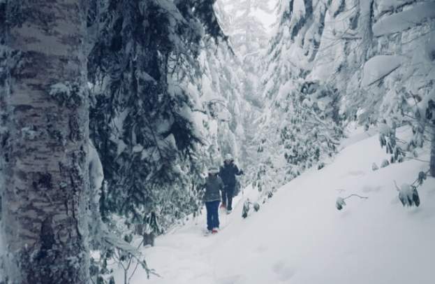 Two Snowshoeing Adventures in Oakridge