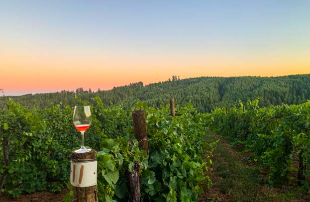 Junction City Wine Country