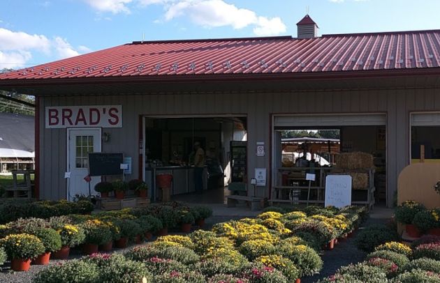 Farm Store
