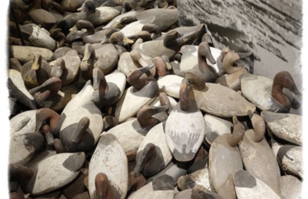 Decoys