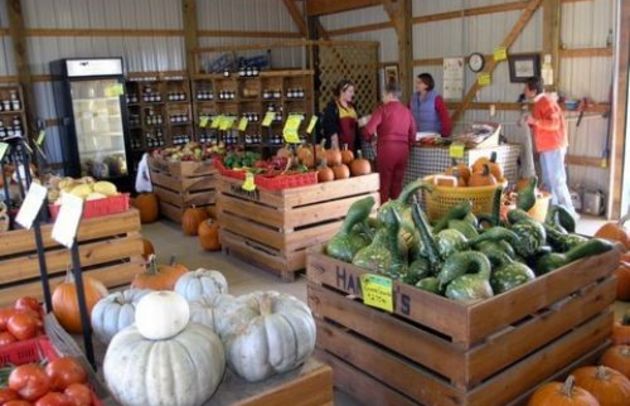 Farm Stand