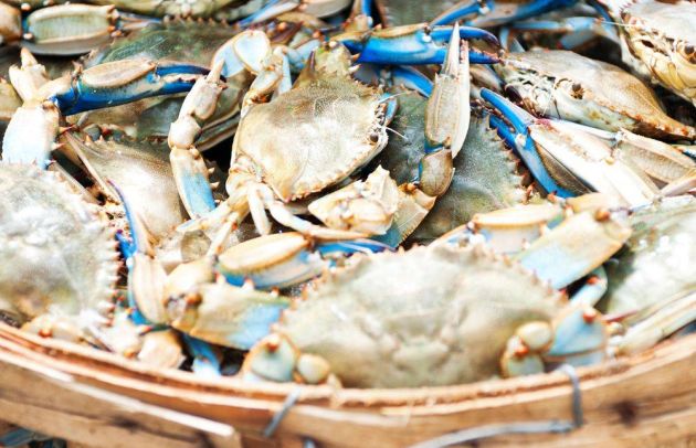 Crabs