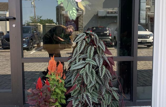 Twisted Root 2.jpg