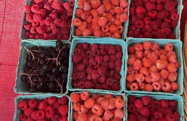Third Way Farm Berries.jpg