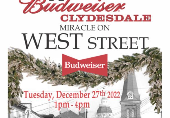 A BUDWEISER CLYDESDALE MIRACLE ON WEST STREET