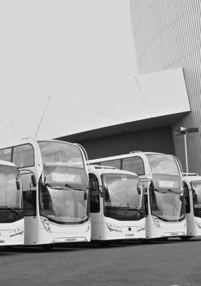 Swans Travel Limited