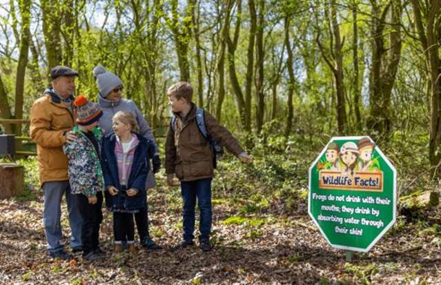 May Half-Term Holiday Fun!