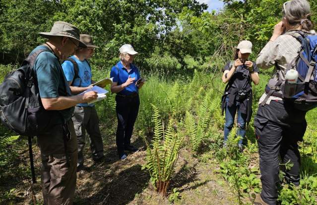 Alvecote Wood/Betty's Wood Open Day
