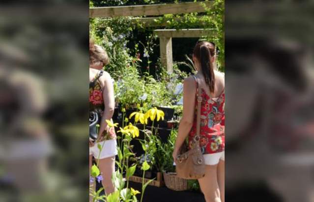 August Plant Hunters Fair