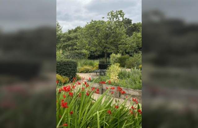 Designed for teens: Brampton Wildlife and Sensory Gardens Eco Tour