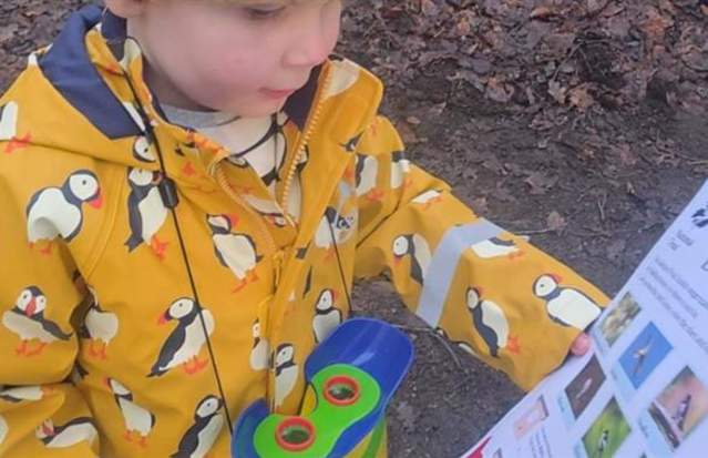 Bird Box Detectives Trail