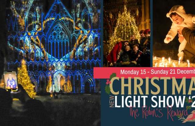 Christmas Light Show: The Robin's Reward