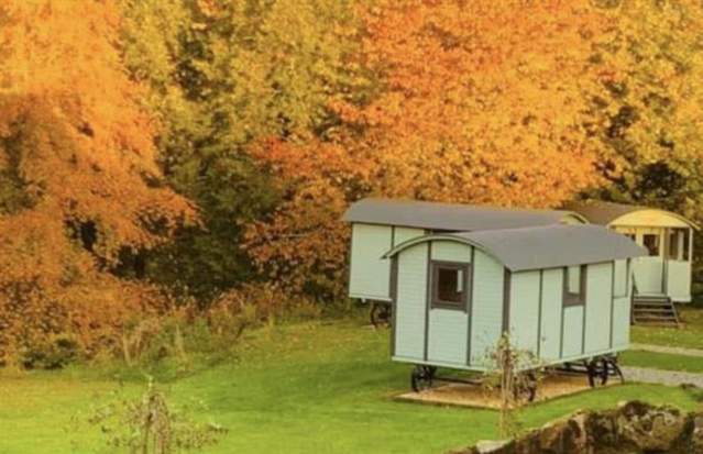 Glamping at Holly Grove Farm