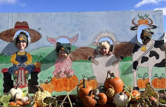 Bednall Pumpkins