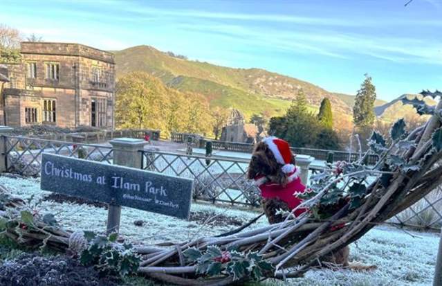 Operation Save the Sleigh Trail