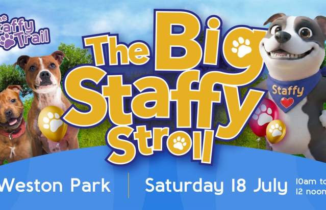 The Big Staffy Stroll - Staffy Trail finale