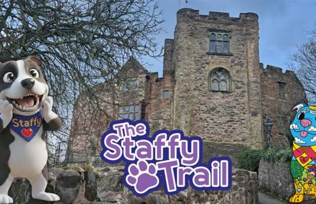 The Staffy Trail - Tamworth