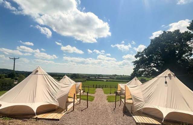 Hen Camp at Field Head Farm