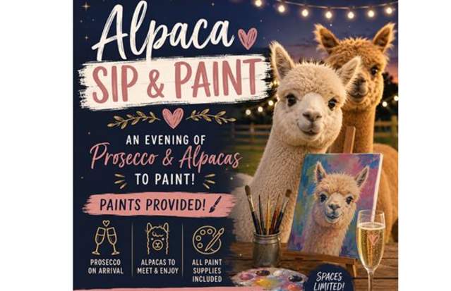 Alpaca Sip & Paint