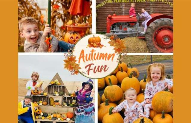 Pumpkin Fest at Manor Farm Fruits