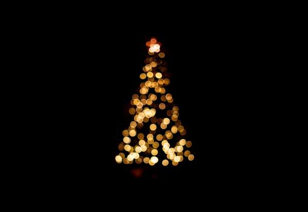 Hallé Carol Concerts