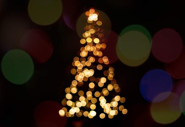 Lapland UK: Manchester