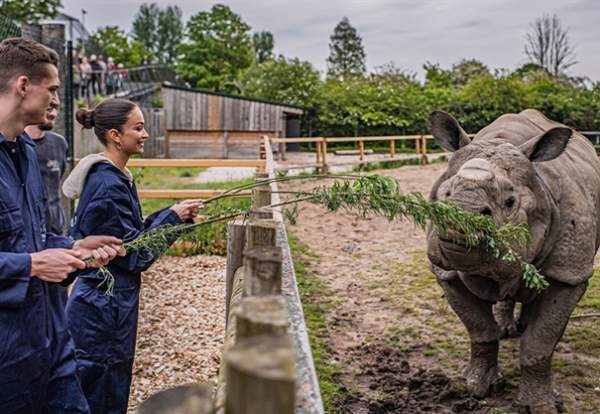 Chester Zoo